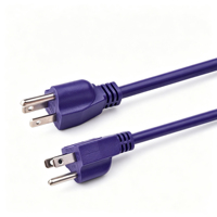 Cordon d'extension certifié UL 18AWG 10A 125V 3FT PANTONE 2098C