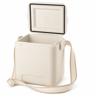 Glacière isotherme 10L de haute qualité en plastique rigide pour le stockage alimentaire, idéale pour les voyages en voiture, la plage, ou comme cadeau promotionnel