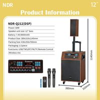 NDR-Q212 Enceinte de sonorisation en ligne de 12 pouces en bois avec Bluetooth et 2 micros, haut-parleur PA avec DSP pour événements scéniques et fêtes