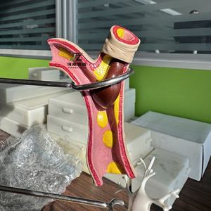 Haute qualité vente chaude <span class=keywords><strong>diabète</strong></span> formation médicale modèle d'enseignement cadeau <span class=keywords><strong>de</strong></span> décoration <span class=keywords><strong>de</strong></span> table - Product Image 2