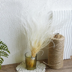 MC Wholesale Forever Floral Supply Soft Wispy Stipa Pennata Dry Wispy Feather Grass Stipa naturel séché - Product Image 3