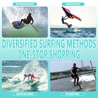 Planche de Wing Foil en Carbone avec Mini Pompe, Planche de Foil pour Démarrage au Quai, Planche de Surf Hydrofoil au Design Compact pour Riders Avancés, Glisse Fluide