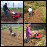 Motoculteurs pour l'agriculture, motoculteur manuel, mini motoculteur, motobineuse, motobineuse rotative