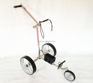 Carrito de Golf Eléctrico Económico, Estructura de Acero Inoxidable, Entrega Rápida, Potente, Autonomía de 20 km - Product Image 1