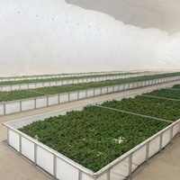 Dôme à air de haute qualité Membrane à air serre agricole Structure à membrane pneumatique Dôme gonflable