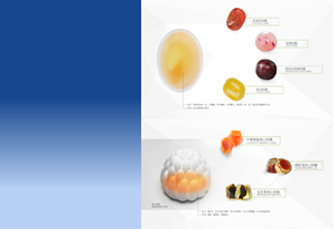 Suplemen Kesehatan Kunyit Alami+Jahe & Lada Hitam dalam Bentuk Permen Jeli untuk Antioksidan & Kesehatan Tulang/Sendi 60 Buah Permen Jeli Dewasa - Product Image 6