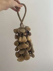 Carillons éoliens en coquilles de graines de Panji, Ju Ju, Kenari, instruments de percussion naturels à base de fruits, accessoires - Product Image 3