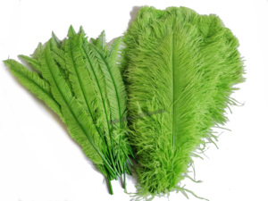 Menthe Naturel Plume Plumes D'autruche pour Fête Carnaval Maison Mariage Pièce Maîtresse De Noël Vase Vacances Décor DIY Artisanat Floral - Product Image 2