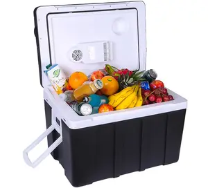 Cooler Box Car With Wheels Handle 50L Large Size Fridge 12v Dc And 220v 50L Large Capacity Premium Outdoor Fish