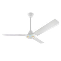 Ventilateur de plafond suspendu en métal de 56 pouces avec trois pales, télécommande, moteur DC, alimentation solaire/par batterie, pour salon, hôtel
