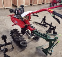 Micro-cultivateur agricole à chenilles, moteur diesel refroidi par air 173F/7HP, pour ferme