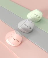 Pabrik Customizes 101 Dual-mode vertikal ergonomis berdiri Mouse bisnis 7 tombol pengisian daya nirkabel untuk penggunaan Laptop