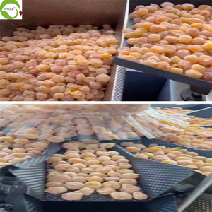 Mứt cam quýt khô nguyên quả đóng gói số lượng lớn 2.5kg/túi Cam vàng Ninh Hạ IVY - Product Image 5