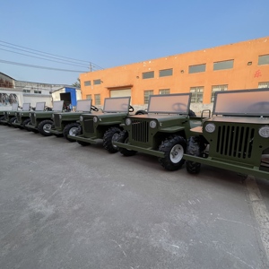 Xe điện Jeep Willys 2 chỗ ngồi, động cơ QIQU 48V 500W, tốc độ 30km/h, dành cho công viên giải trí - Product Image 6