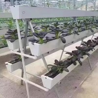 Aardbeienkwekerij Hydroponisch Irrigatiesysteem Verticale Groei Goot Enkelvoudige Kas Polyvinylchloride Afdekking Tuin