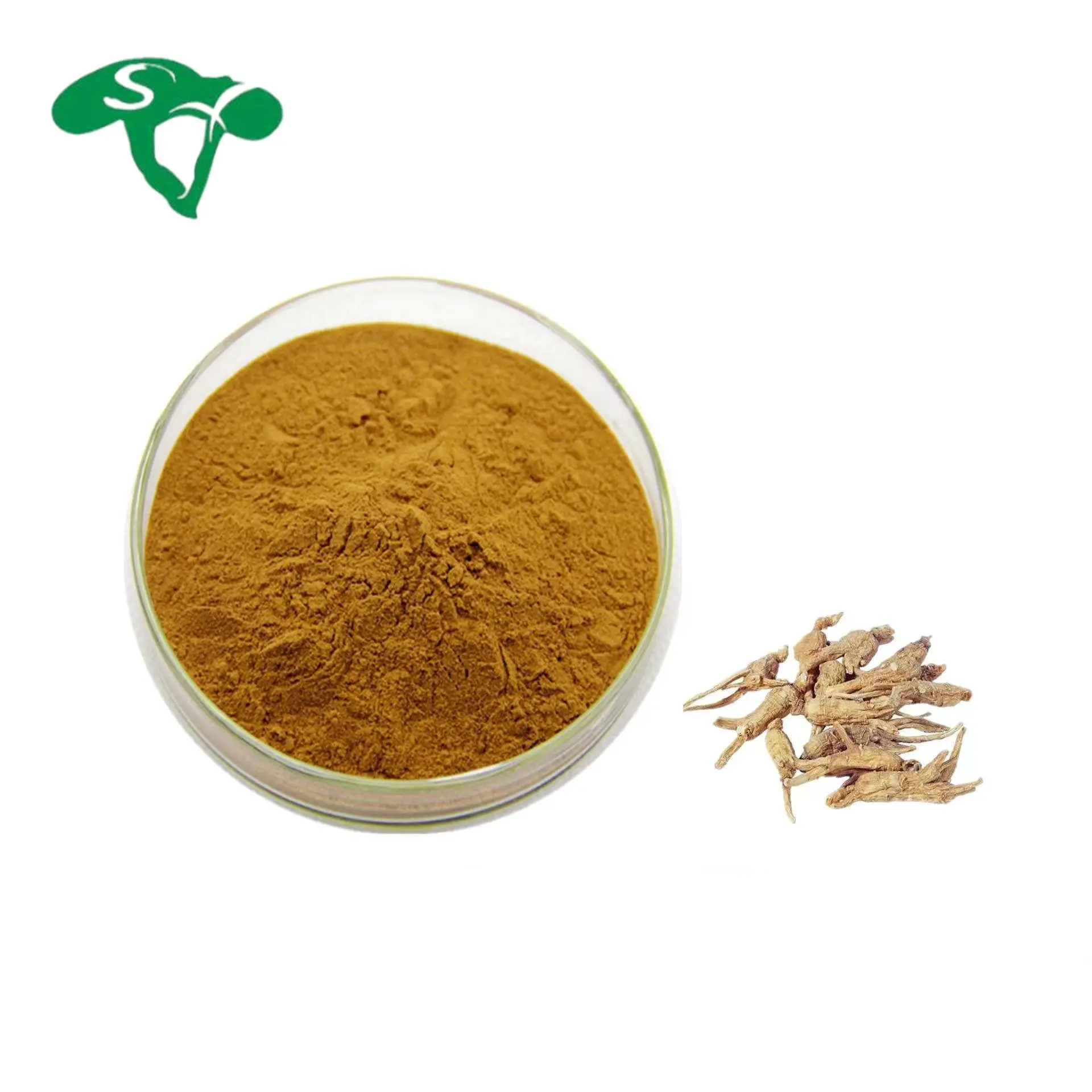 30% Engelwortel Polysaccharide Poeder Chinese Kruiden Angelica Wortel Extract