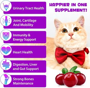 Suplemento Líquido de Alta Calidad Oscar Silybum, Raíz de Jengibre, <span class=keywords><strong>Colina</strong></span>, Raíz de Diente de León, Digestión, Salud Inmunológica, Sabor a Carne para Perros - Product Image 3