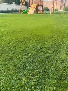 Gazon artificiel hautement réaliste, pelouse artificielle d'extérieur, verdure réaliste pour jardin, herbe synthétique durable - Product Image 5