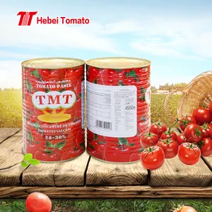 Grandes boîtes de pâte de tomate 4.5 kg fabricant en différentes tailles du fabricant sauce tomate