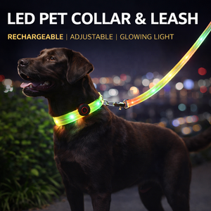समायोज्य वाटरप्रूफ नेतृत्व वाला कुत्ता कॉलर usb रिचार्जेबल चमकदार कुत्ते के लिए रात सुरक्षा पालतू कॉलर - Product Image 1