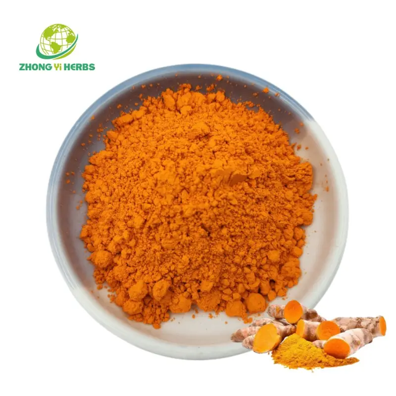 High Quality Natural Turmeric Root Extract 95% 98% Curcumin Organic Turmeric Powder