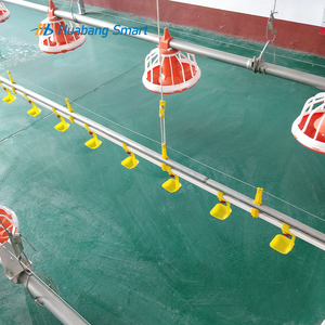 Abbeveratoio Automatico <span class=keywords><strong>a</strong></span> Nipple per Polli da Carne e Ovaiole, in Acciaio Inossidabile, Anti-<span class=keywords><strong>Goccia</strong></span>, Nuovo Sistema di Abbeveraggio per Pollame - Product Image 3