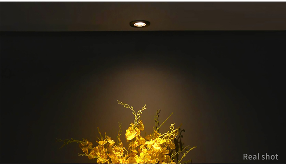 Recessed Fire Rated Downlights GU10 Die Casting Alu BBC Standard