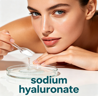 170KDA Sodium Hyaluronate Kelas Kosmetik, HA Kemurnian Tinggi untuk Pembuatan Krim Tubuh & Pelembab Perawatan Tangan