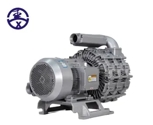 ปั๊มลมแรงดันสูงแบบวอร์เท็กซ์ TWYX รุ่น RB-35SSH-1 4KW 2.5 3.7 5 7.5 11 15 - Product Image 3
