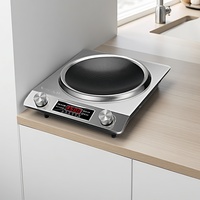 Cuisinière électrique infrarouge étanche 3500W à brûleur unique sans rayonnement, cuisinière à induction solaire pour fondue
