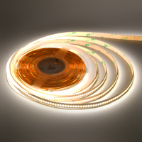 Bande lumineuse à LED super haute luminosité 200LM/W DC24V 234LEDs/M FLEx 24V 2700K 3000K