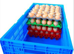 علب بلاستيكية قابلة للطي لتعبئة البيض المنفذ من JOIN - Product Image 3