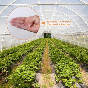 Greenhouse <b>Film</b> 8ft x 25ft 6mil Clear Polyethylene UV Resistant Replacement - Product Image 2