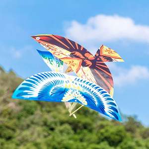 Grande Giocattolo in Legno a Forma di Uccello Volante Luban per Bambini, Giocattolo Volante a Propulsione d'Aria Realizzato in Plastica Resistente - Product Image 2