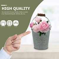 Pot de fleurs rétro, conteneur à fleurs de jardin, vase décoratif, seau avec poignée, métal galvanisé, durable, écologique, minimaliste