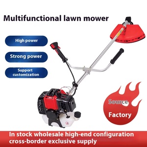Desbrozadora Multifuncional de Dos Tiempos para Uso Doméstico Pequeño, OEM, para Recuperación de Terrenos Agrícolas, Cortacésped, Máquina Desmalezadora TY - Product Image 2