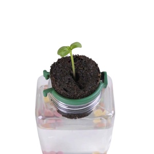 1 inch Vòng hạt giống khởi động bọt biển miễn phí thủy canh phát triển trung bình cho mọng nước Tuyên Truyền khối hình thức - Product Image 3