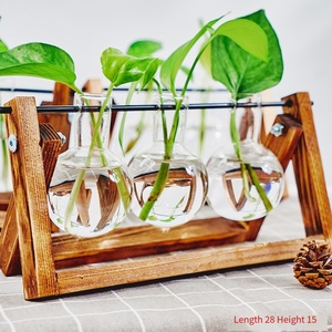 Colorful Wooden Stand Terrarium for Home Garden Desktop Plant Propagation Station with Bulb Glass Vase Gift Lovers - Product Image 3
