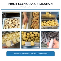 Gemengde oogst flexibele wortelgewaswasser en -schiller voor aardappelen, wortelen, gember, taro en verwerkers van verse producten