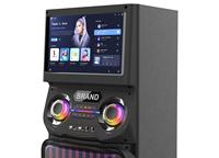 Écran tactile 15,4 pouces, LED RGB, 100W/Wi-Fi, entrée microphone filaire USB, Android 11, enceinte de karaoké et de fête en plein air, batterie intégrée