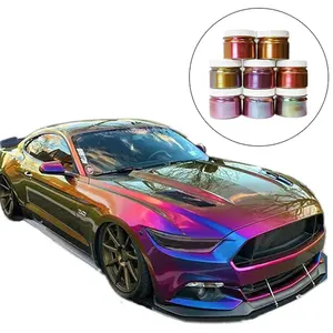 Color Shift Chameleon Pigment Powder Auto Metallic Paint - China Chameleon,  Car Paint