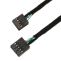 Faisceau de fils PCB femelle à femelle isolé en PVC 2.54mm 10 broches personnalisé pour connexion à double en-tête USB pour applications informatiques