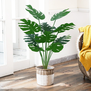 Cây trong nhà trang trí cây xanh nhân tạo cây bonsai monstera deliciosa nồi cây nhân tạo cây nhân tạo Nhà cung cấp - Product Image 3