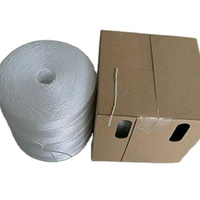 Ficelle de haute qualité pour attacher des tomates dans une boîte de 3 lb avec boucle de ceinture ficelle de presse à balles en polypropylène agricole