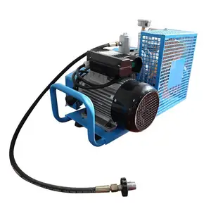 4500PSI High Pressure Air Compressor For Scuba Diving/fire Fighting/paintball Games