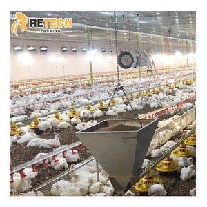 Hệ Thống Nuôi Gà Thịt Tự Động Thiết Bị Cho Ăn Gia Cầm Nuôi Gà Trên Mặt Đất - Product Image 1