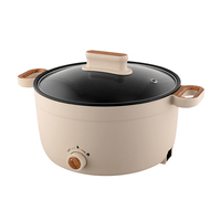Protection anti-sèche personnalisée Poêle à frire électrique 4L Cuisinière électrique antiadhésive multi-cuiseur en acier inoxydable