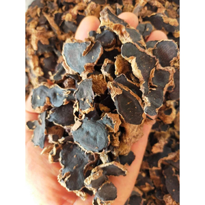Última Llegada: Rodajas/Hojuelas de Jengibre Seco de Alta Calidad (Kaempferia Parviflora) |   100% Puro y Seco Naturalmente |   Sin químicos | - Product Image 1