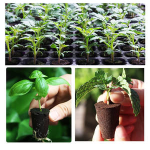 Soilless yetiştirme fide substrat büyümek süngerler toprak blok tohum bakla yedek kök büyüme hafif çevre dostu - Product Image 6