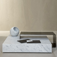 Table basse courte centrale en acier inoxydable blanche au design de luxe